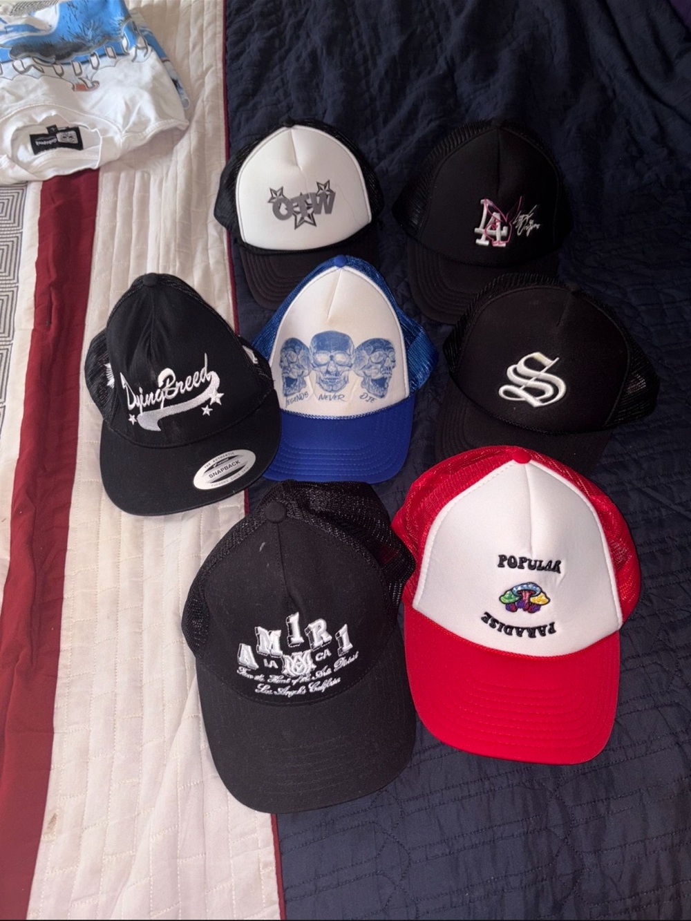 Assorted Graphic Trucker Hats - Black, White, Blue, Red